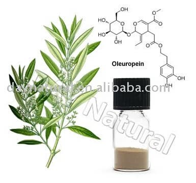 Olive Leaf Extract Oleuropein 70_ hplc